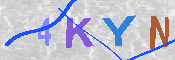 キャプチャ画像