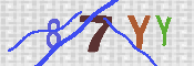 キャプチャ画像