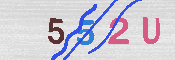 キャプチャ画像