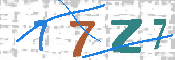 キャプチャ画像