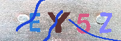 キャプチャ画像