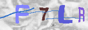 キャプチャ画像