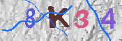 キャプチャ画像