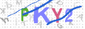 キャプチャ画像