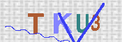 キャプチャ画像