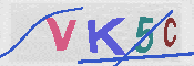 キャプチャ画像