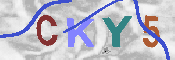 キャプチャ画像