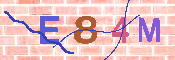 キャプチャ画像