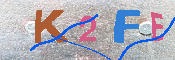 キャプチャ画像