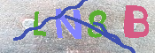 キャプチャ画像