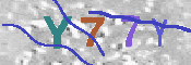キャプチャ画像