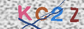 キャプチャ画像