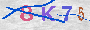 キャプチャ画像