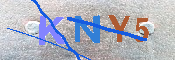 キャプチャ画像