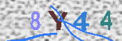 キャプチャ画像