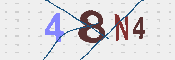 キャプチャ画像