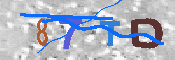 キャプチャ画像