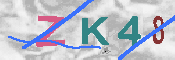 キャプチャ画像