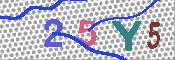 キャプチャ画像