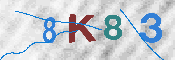 キャプチャ画像