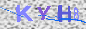 キャプチャ画像