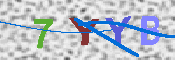 キャプチャ画像