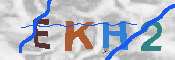 キャプチャ画像