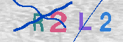 キャプチャ画像