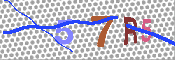 キャプチャ画像