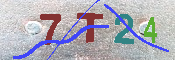 キャプチャ画像