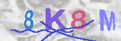 キャプチャ画像