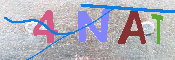 キャプチャ画像
