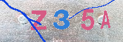 キャプチャ画像