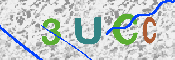 キャプチャ画像