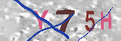 キャプチャ画像
