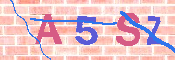 キャプチャ画像