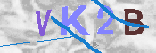 キャプチャ画像