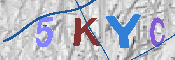 キャプチャ画像