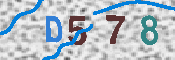 キャプチャ画像