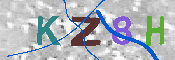 キャプチャ画像