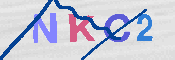キャプチャ画像