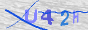 キャプチャ画像