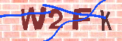キャプチャ画像