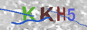 キャプチャ画像