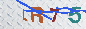 キャプチャ画像