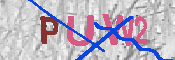 キャプチャ画像