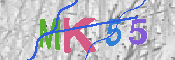 キャプチャ画像