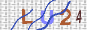 キャプチャ画像