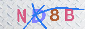 キャプチャ画像