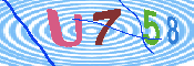 キャプチャ画像